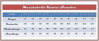 Übergrößen Herrenhemd KAMRO Blau/Rot/Weiß kariert 12XL