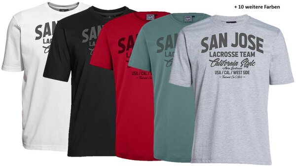 Übergrößen T-Shirt AHORN SPORTSWEAR 15 Farben San Jose grau 3XL-10XL