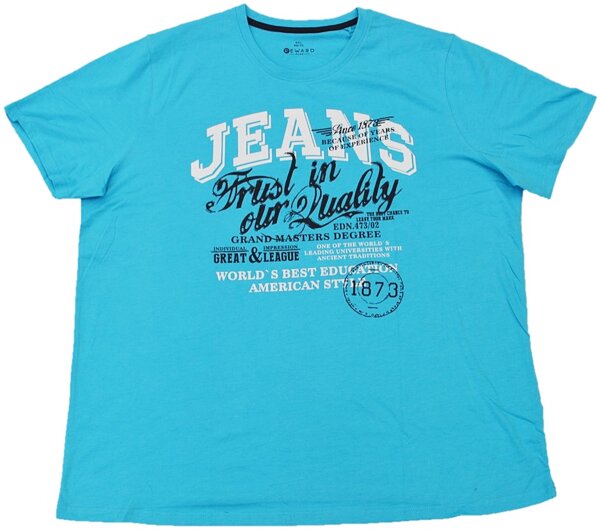 Übergrößen T-Shirt Jeans Hellblau 4XL-6XL